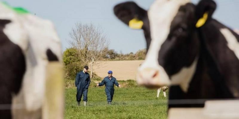 Moselle: des cas de fièvre charbonneuse détectés dans plusieurs élevages