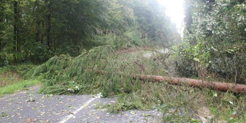 tempête Meuse 4