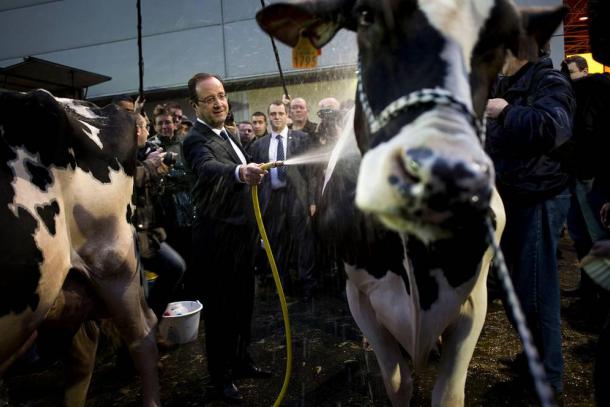 Hollande, Valls et Le Foll devant l’urgence des éleveurs en colère